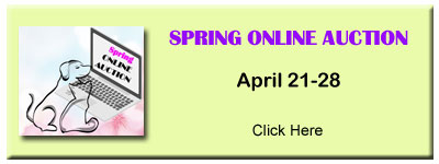 Spring Online Auction April 21-28 Donors click here
