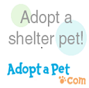 Adopt a Pet adopt a shelter pet